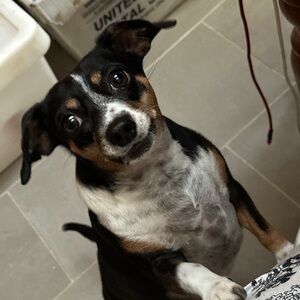 Meet your Posher, Kendra